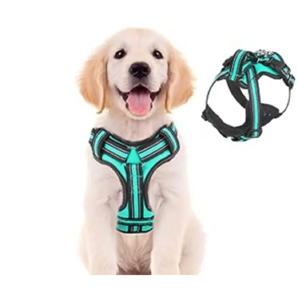 Turquoise dog harness L  / Large Perfect, Like new